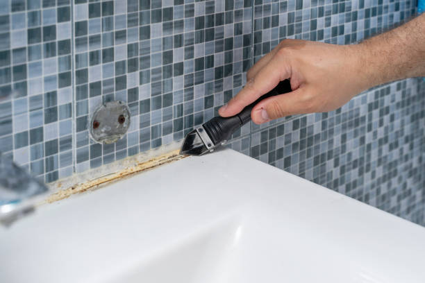 Best Home Mold Removal  in Seaside, CA